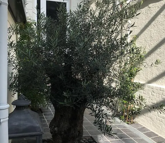 Apartman Le Dix-huit Duplex