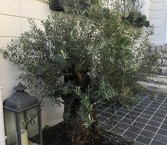 Apartman Le Dix-huit Duplex Rouen